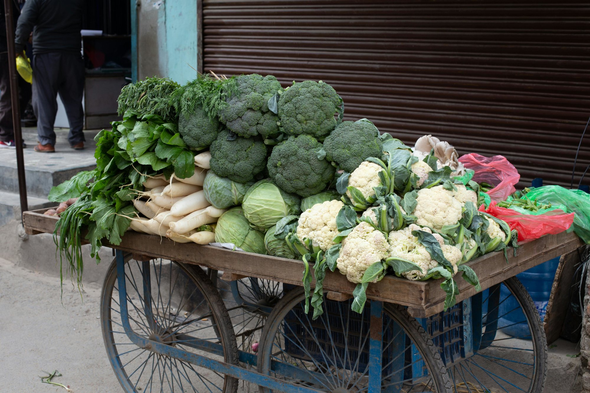2025 Avenues Street Fair featured art, house with trees