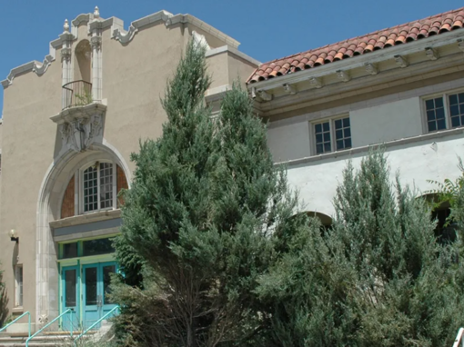 Warm Springs Alliance