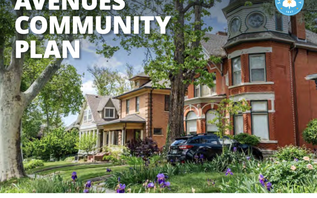 Please Read The Avenues Community Plan Draft